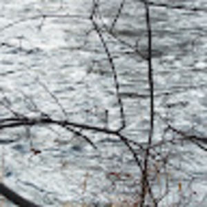 Meet your Posher, Jamila